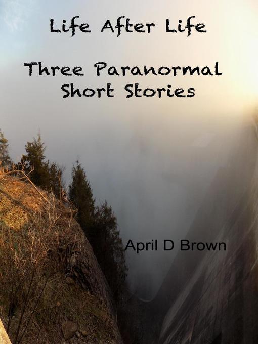 Title details for Life After Life by April D Brown - Available